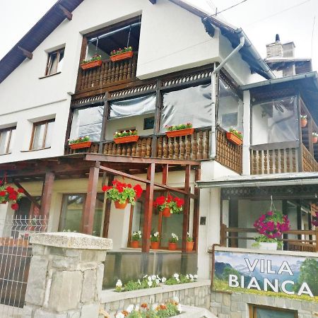 Bianca House Hotell Buşteni Exteriör bild