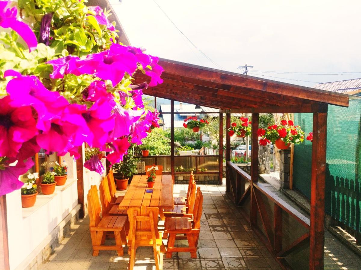 Bianca House Hotell Buşteni Exteriör bild