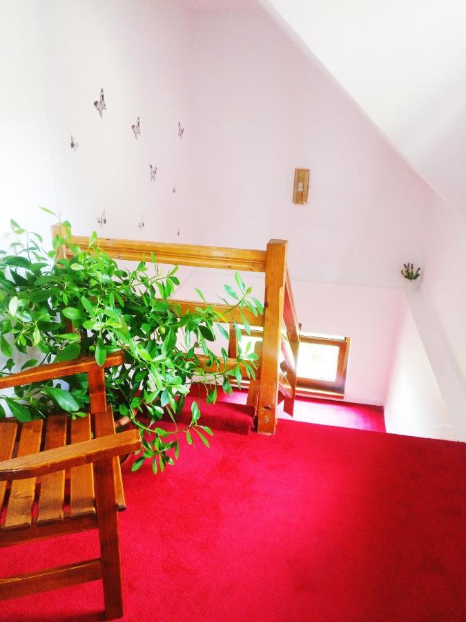 Bianca House Hotell Buşteni Exteriör bild
