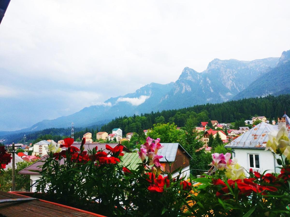 Bianca House Hotell Buşteni Exteriör bild